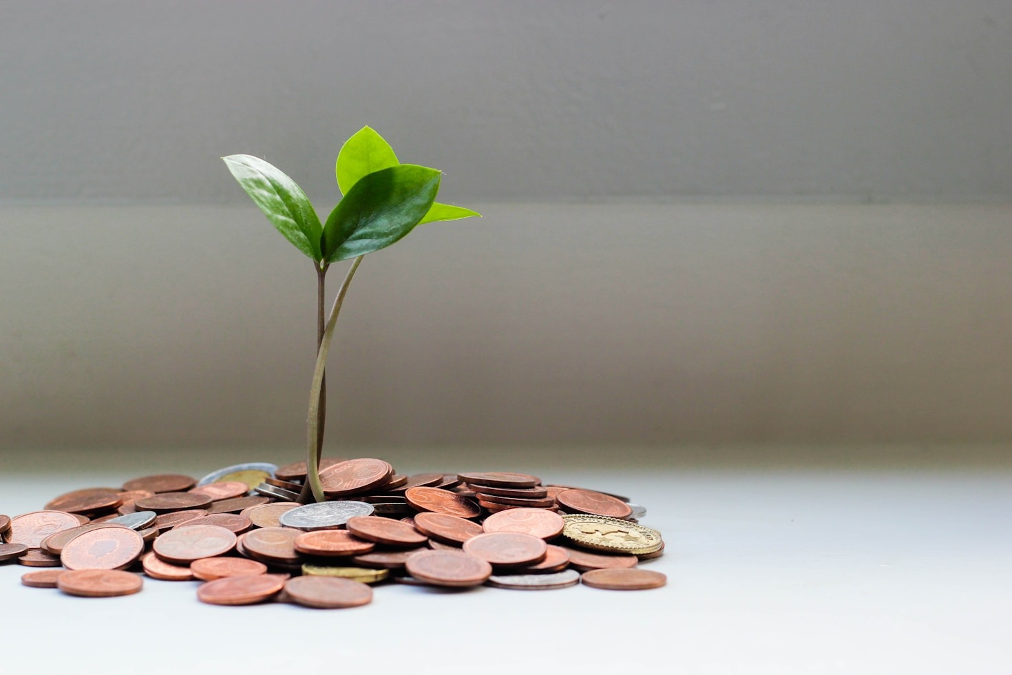 Top 10 Money Management Tips for Kenyans
